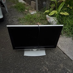 テレビの画像