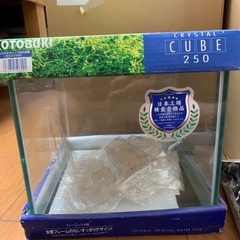 25センチキューブガラス水槽新品ガラス蓋付きの画像