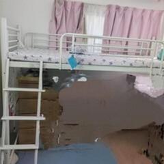 ロフトベット【取引中】の画像