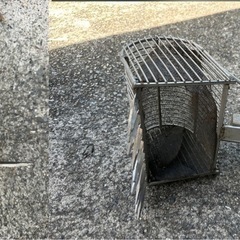 ジョレン　潮干狩り。の画像
