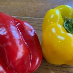カボチャ、パプリカ、きゅうり、スイカ　夏野菜　甘い　美味しい　安いの画像
