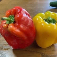 カボチャ、パプリカ、きゅうり、スイカ　夏野菜　甘い　美味しい　安いの画像