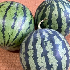 カボチャ、パプリカ、きゅうり、スイカ　夏野菜　甘い　美味しい　安いの画像