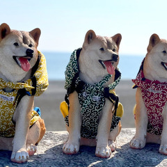 可愛い犬のグッズ　ミシン縫製の画像