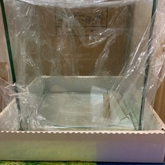 キューブ曲がりガラス水槽新品の画像