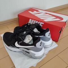 ナイキスニーカー　NIKE AIR MAX EXCEE    FN7304 001の画像
