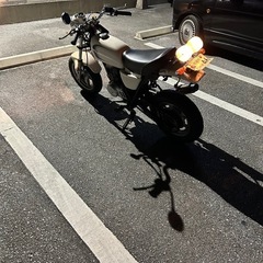 エイプの画像