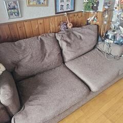 大きい　ブラウン　ソファー　ベッドにもの画像