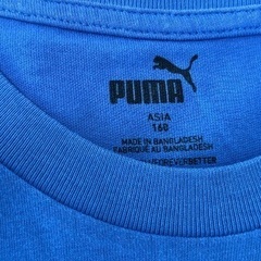 男児Tシャツ　150、160の画像