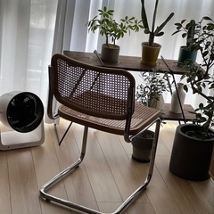 knoll チェスカチェア　マルセルブロイヤー　ノル　ワイチェア　yチェア     の画像