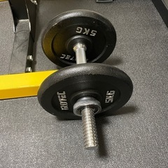 【引き取り限定、値下げ可】Bodymakerハーフラック、ベンチの画像