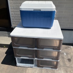 チャチャさんに決まりました。　プラ収納とコールマンのクーラーボックス