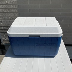 チャチャさんに決まりました。　プラ収納とコールマンのクーラーボックスの画像