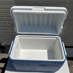 チャチャさんに決まりました。　プラ収納とコールマンのクーラーボックスの画像