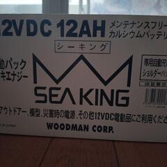 SEAKING エレキエナジー　12VDC12AH　woodmanの画像