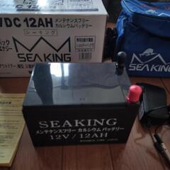 SEAKING エレキエナジー　12VDC12AH　woodmanの画像
