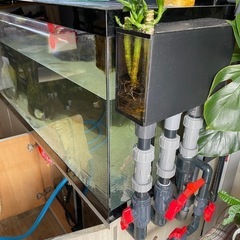 水槽セット15000x600x600 引き取りのみの画像