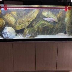 水槽セット15000x600x600 引き取りのみ