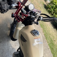 超美車ftr223　の画像
