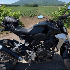 CB250R 走行少ない
