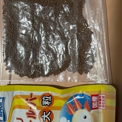 募集中⚫️ウーパールーパーのエサの画像