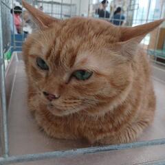 どうかお願いしますm(*_ _)m
