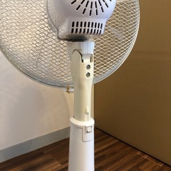 ZEPEAL扇風機 ホワイト 空調家電の画像