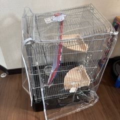 モモンガ　ゲージ