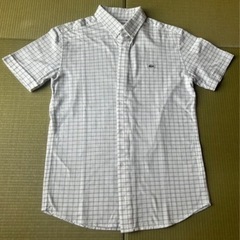 LACOSTE🐊半袖シャツの画像