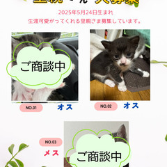5月24日生まれの可愛い子ちゃん