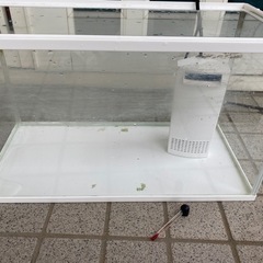 水槽　隠れ家　金魚・熱帯魚 の画像