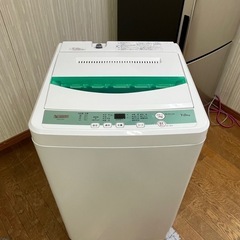 早い者勝ち!! 激安7.0kg洗い!! ヤマダ 2019年 YWM-T70G1 全自動電気洗濯機の画像