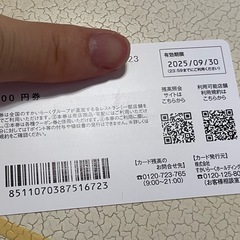 すかいやーく優待券の画像