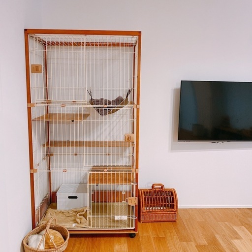 TV台 50インチまで ナチュラル ローボード テレビ台 250105-6 TV台 50