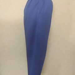ジャージ　レディース　ブルーの画像