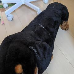 犬のおもちゃの画像