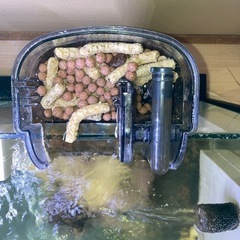 GEX外掛けフィルター海水用バクテリア付着済み即海水魚飼育可能！の画像