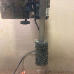 GEX外掛けフィルター海水用バクテリア付着済み即海水魚飼育可能！の画像