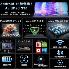 アビドパット　Android15 sim フリー　専用ケース付きの画像