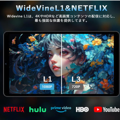 アビドパット　Android15 sim フリー　専用ケース付きの画像
