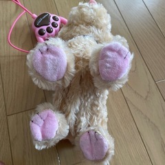 一緒にお散歩 プードルの画像