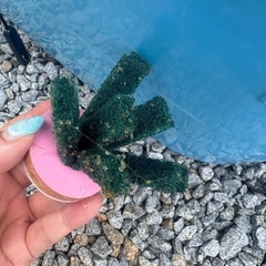 深海メダカ卵の画像