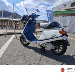 タクトアイビー　実働　車高短の画像