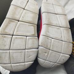 １６センチシューズの画像