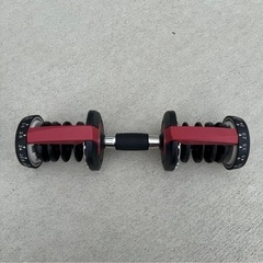 【半額❗️】可変式ダンベル　24kg ２個セットの画像