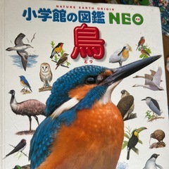 小学館の図鑑　5冊の画像