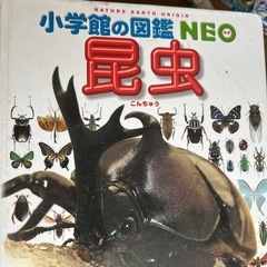 小学館の図鑑　5冊の画像