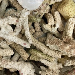 各種ろ材一箱まとめて、5枚目画像はサービスします。の画像