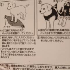 小型犬のハーネスの画像