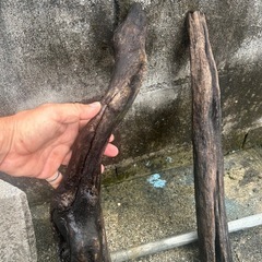 流木2つの画像